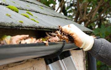 gutter cleaning Lower Ansty, Dorset