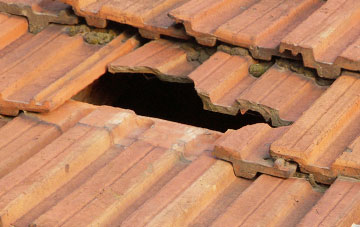 roof repair Lower Ansty, Dorset