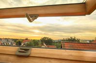 rated Lower Ansty roof window companies